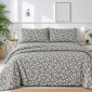 Σετ 2 Σεντόνια King Size (260x280) με 2 Μαξιλαροθήκες 100% Βαμβάκι - Astron Italy Elisa Grey