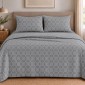 Σετ 2 Σεντόνια King Size (260x280) με 2 Μαξιλαροθήκες 100% Βαμβάκι - Astron Italy Giulia Grey
