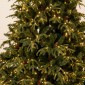 Χριστουγεννιάτικο Δέντρο Pre-Lit Franklin Fir 210εκ με 1.500 LED Θερμά Λευκά & Πολύχρωμα Λαμπάκια & 10 Προγράμματα - Iliadis Decoration 90548