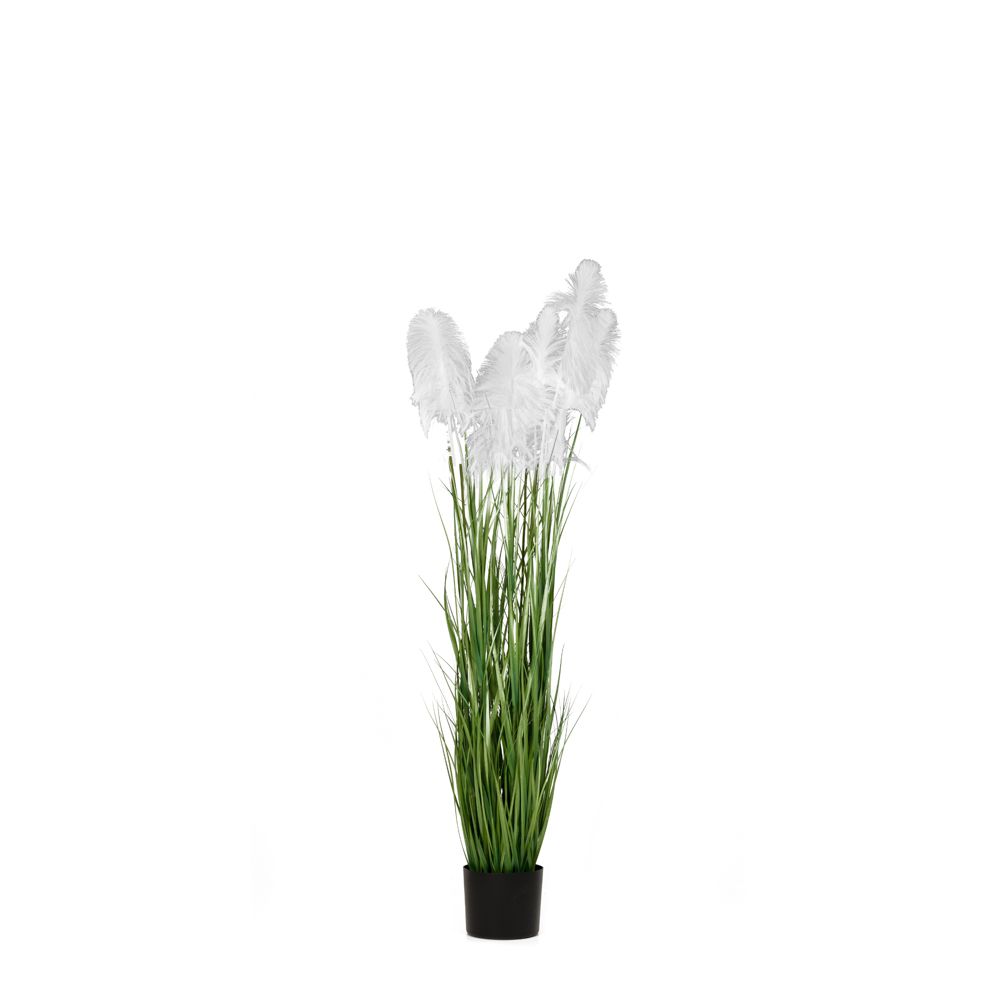 Τεχνητό Φυτό Pampas Grass 125cm σε Πλαστική Γλάστρα Iliadis White 85073