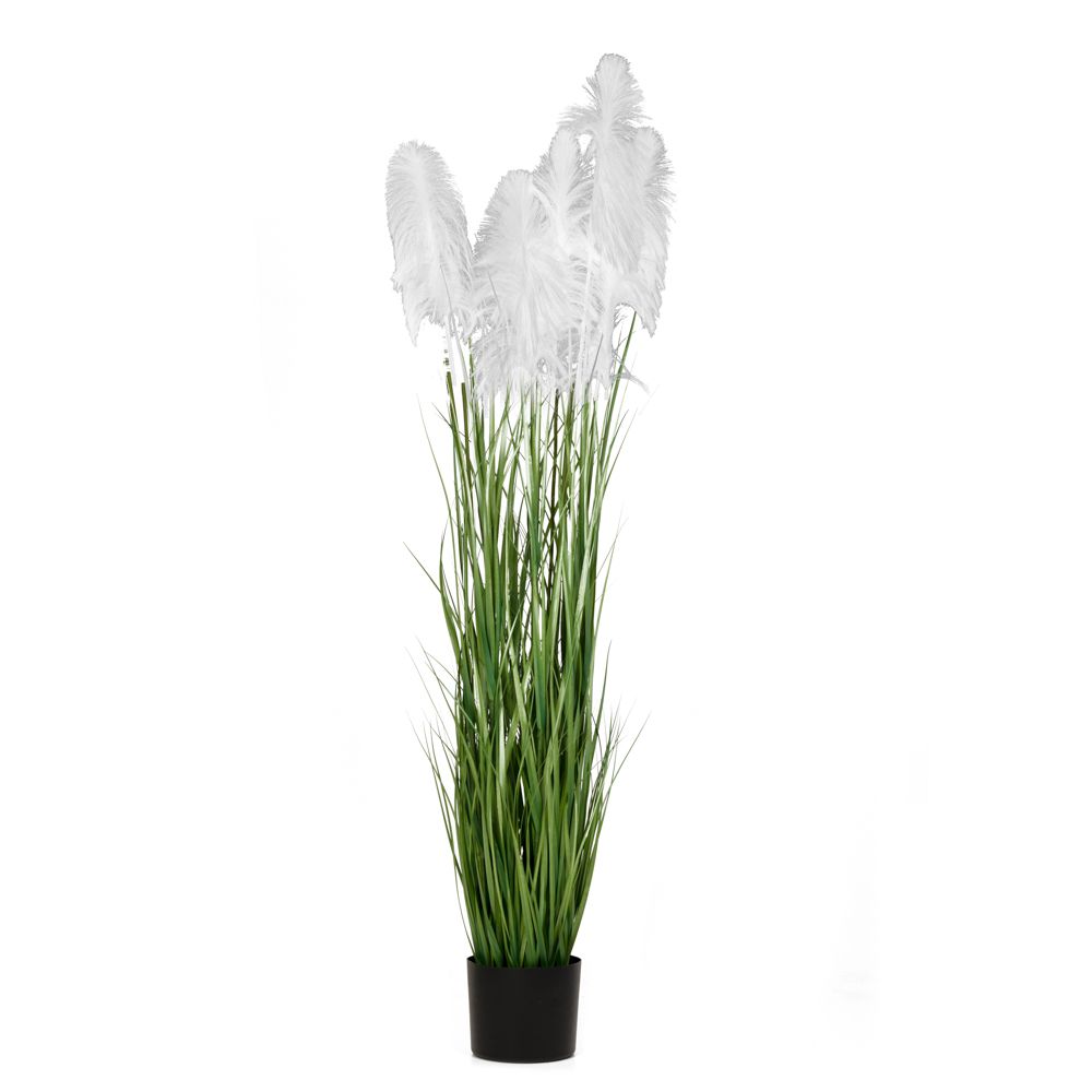 Τεχνητό Φυτό Pampas Grass 220cm σε Πλαστική Γλάστρα Iliadis White 85075