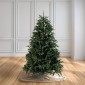 Χριστουγεννιάτικο Δένδρο FRASER FIR 240εκ. Πράσινο με Μεταλλική Βάση Iliadis 67528 Χριστουγεννιάτικο Δένδρο FRASER FIR 240εκ. Πράσινο με Μεταλλική Βάση Iliadis 67528