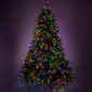 Χριστουγεννιάτικο Δέντρο Pre-Lit Franklin Fir 300εκ με 3.100 LED Θερμά Λευκά & Πολύχρωμα Λαμπάκια & 10 Προγράμματα - Iliadis Decoration 90550